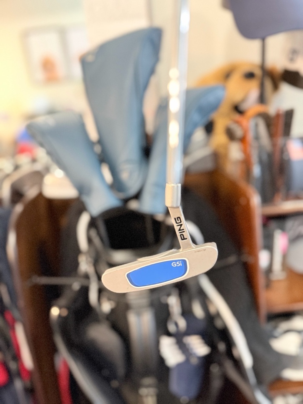 Golf Putter, Driver & Hybrids - Picture 5 of 8